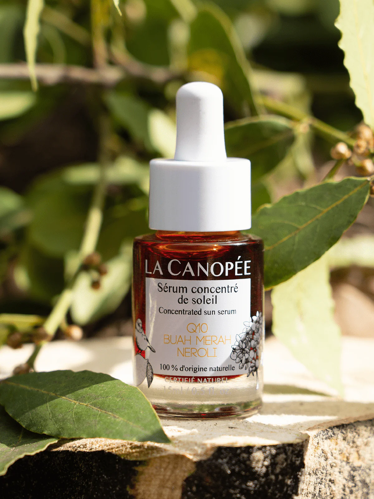 Sérum concentré de soleil - Image 10