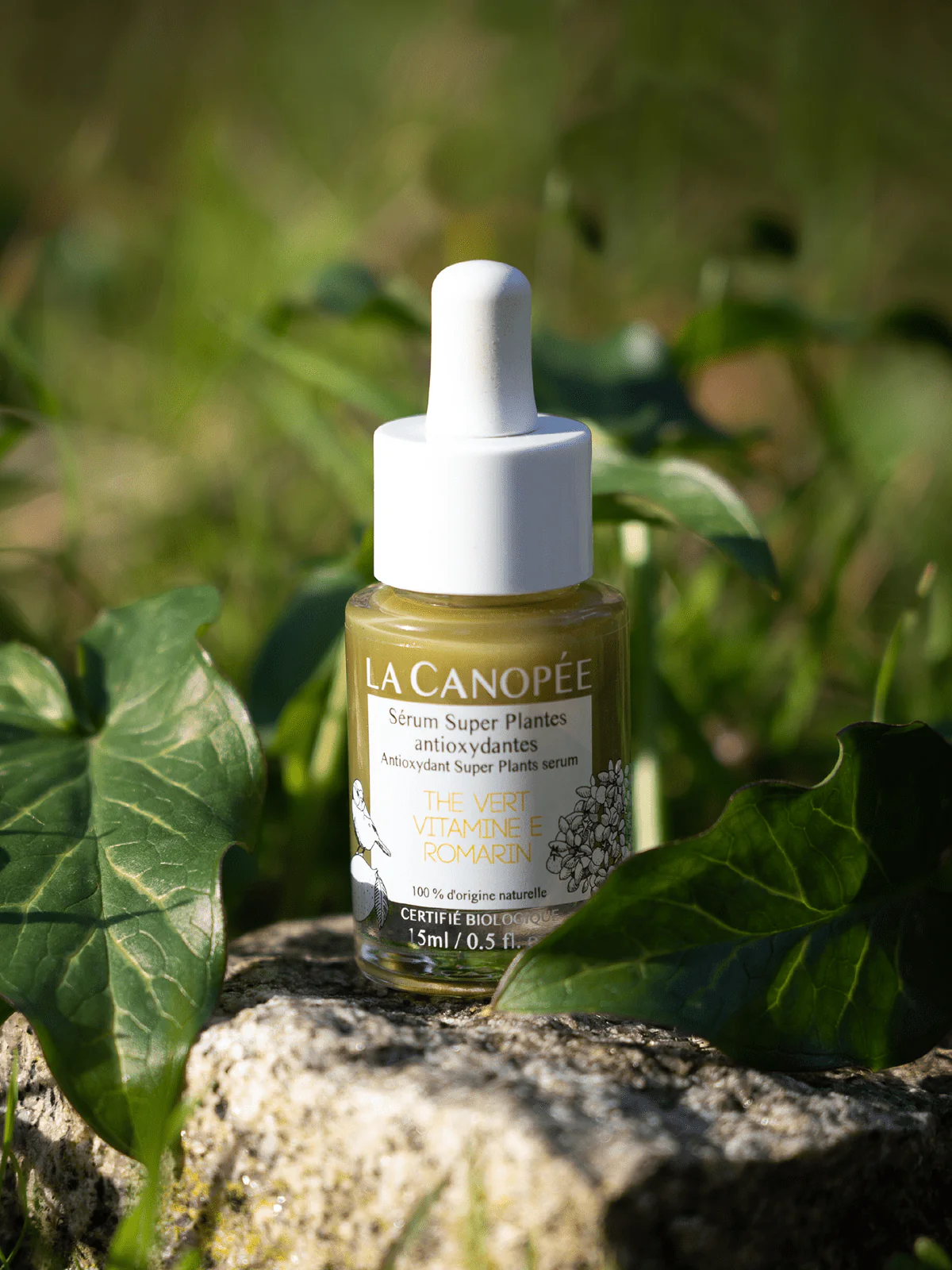 Sérum Super Plantes antioxydantes - Image 7